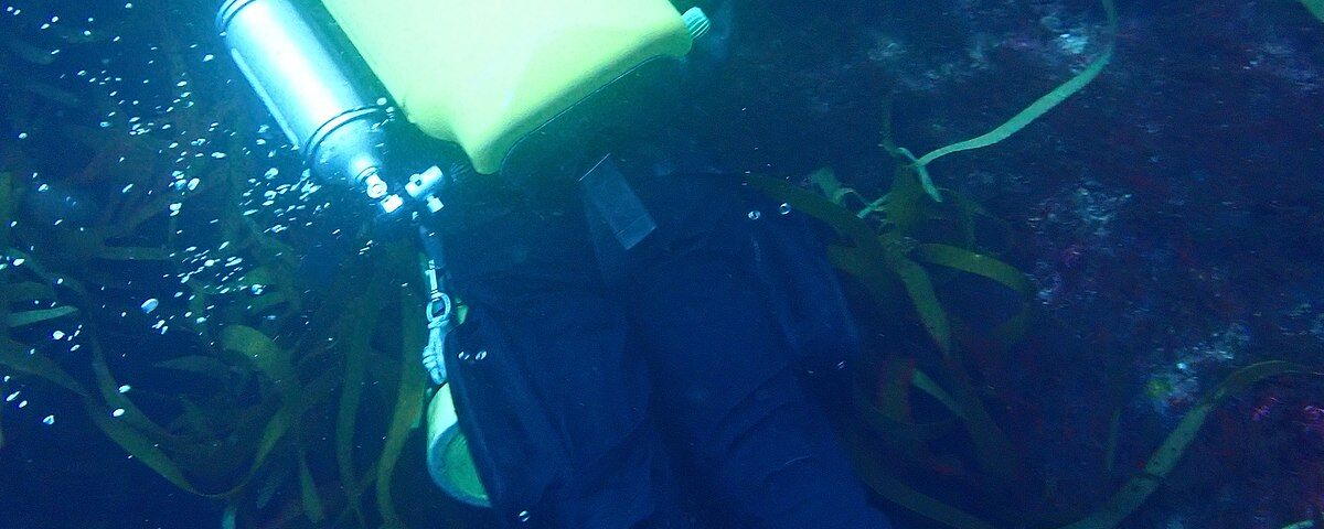 Scuba diver exploring a reef wall formation, similar to the vertical reef structure at Meno Wall dive site